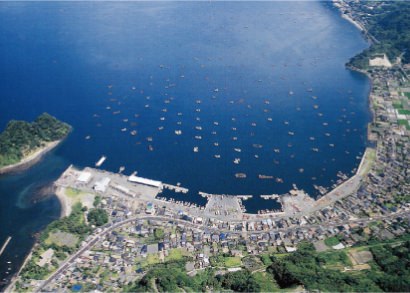牛根漁港の空撮写真